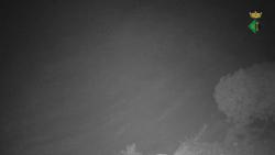Webcams