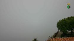 Webcams