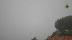 Webcams