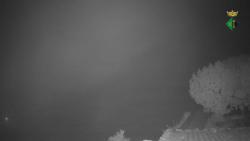 Webcams