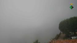 Webcams