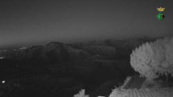 Webcams
