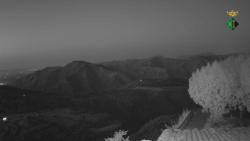 Webcams