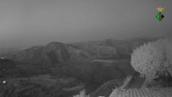 Webcams