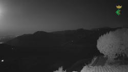 Webcams