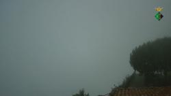 Webcams