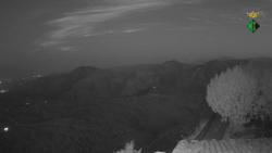 Webcams