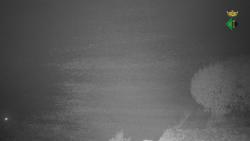 Webcams