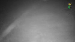 Webcams