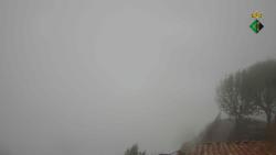 Webcams