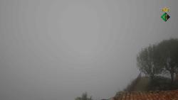 Webcams