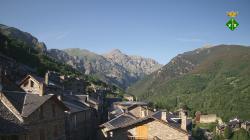 Webcams