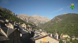 Webcams