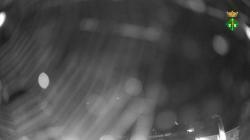 Webcams