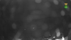 Webcams