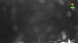 Webcams