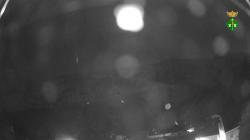 Webcams