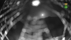 Webcams