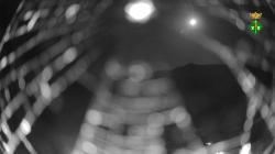 Webcams