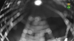 Webcams
