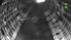 Webcams