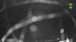 Webcams