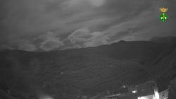 Webcams