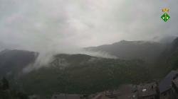 Webcams