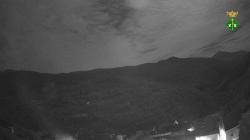 Webcams