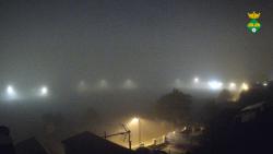 Webcams