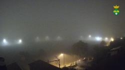 Webcams