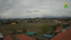 Webcams