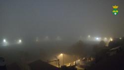 Webcams