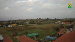 Webcams