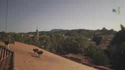 Webcams