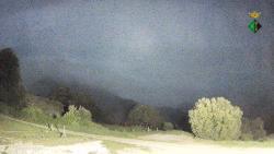 Webcams