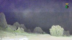 Webcams