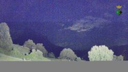 Webcams