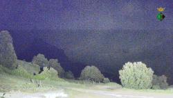 Webcams