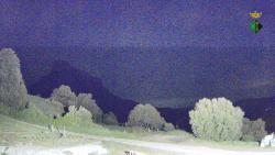 Webcams