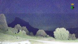 Webcams