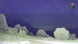 Webcams
