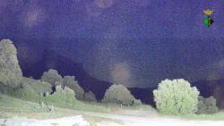 Webcams