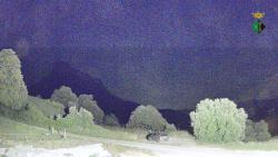 Webcams