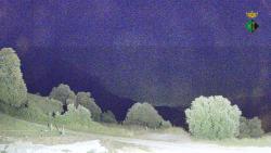 Webcams