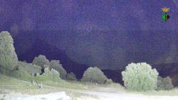 Webcams