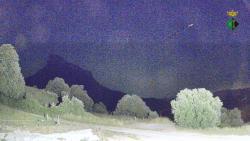 Webcams