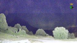 Webcams