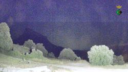 Webcams
