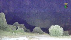 Webcams